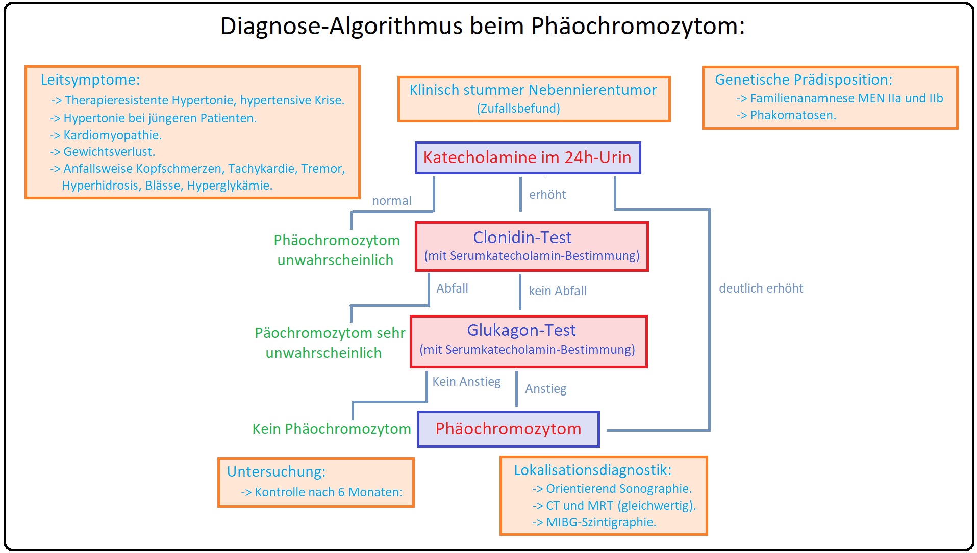 1227 Diagnose Algorithmus beim Phäochromozytom