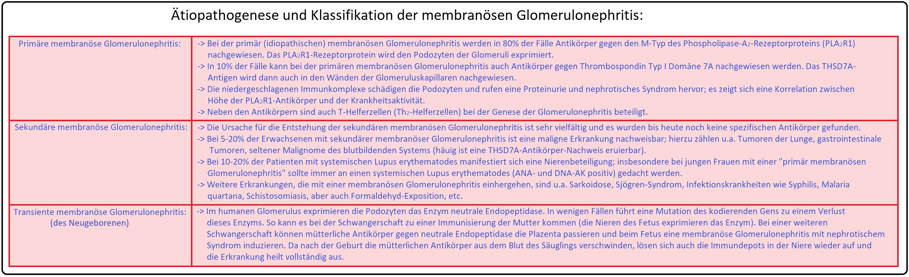 1116 Ätiopathogenese und Klassifikation der membranösen Glomerulonephritis