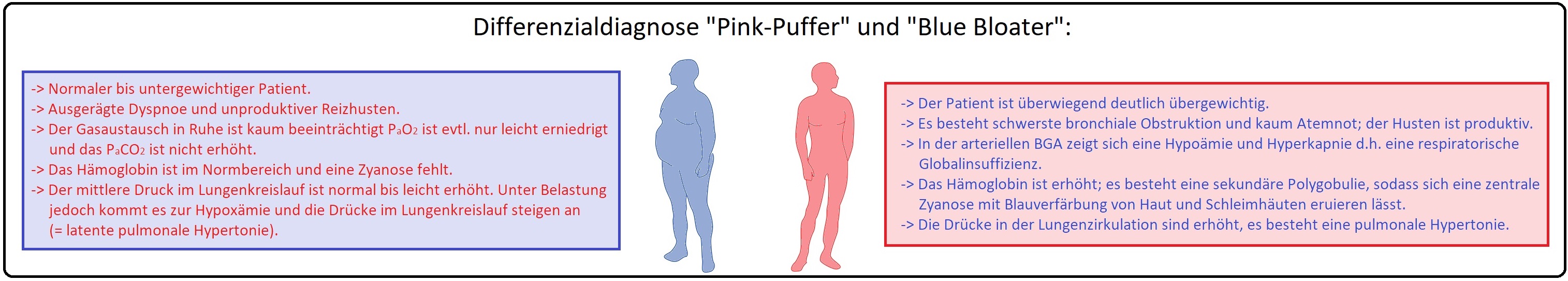 1006 Differenzialdiagnose Pink Puffer und Bue Bloater