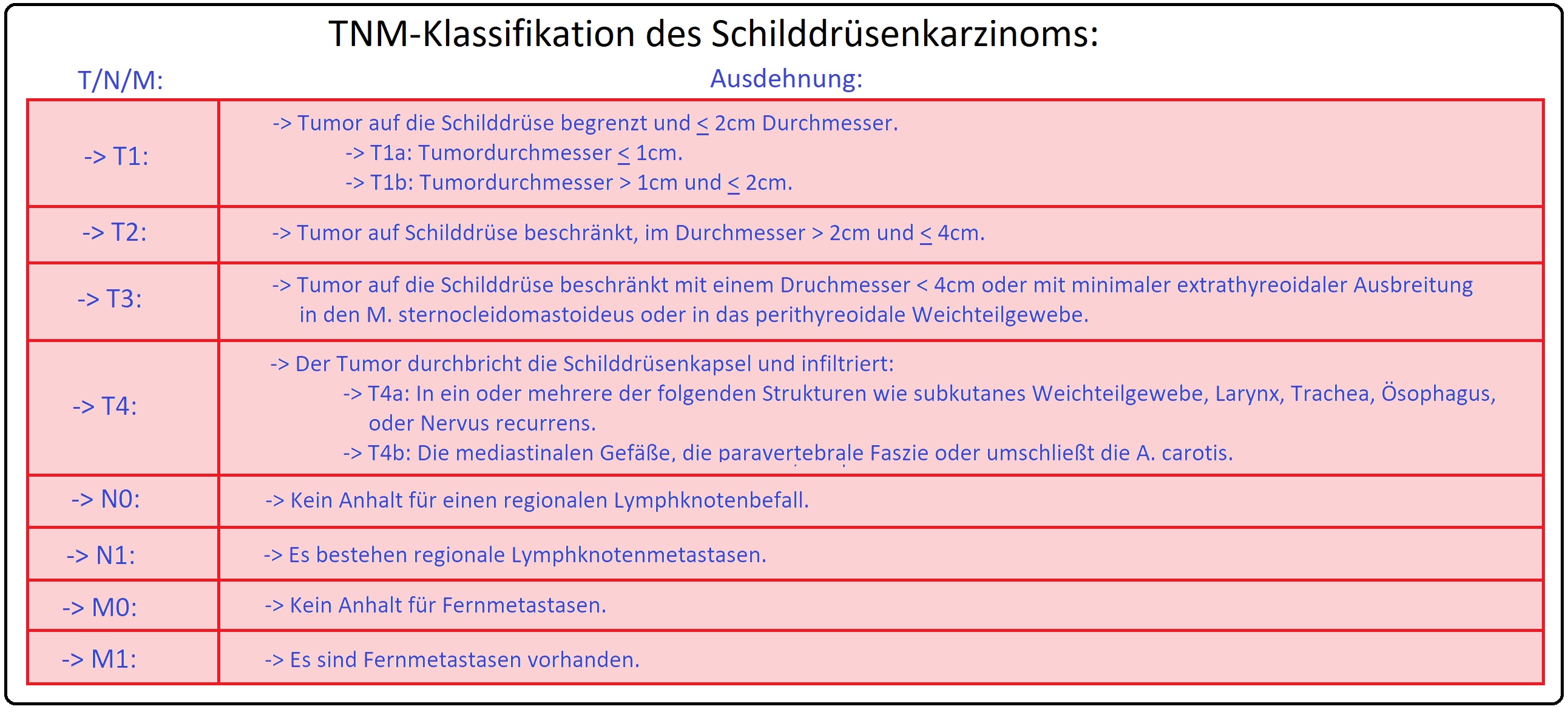 461 TNM Klassifikation des Schilddrüsenkarzinoms