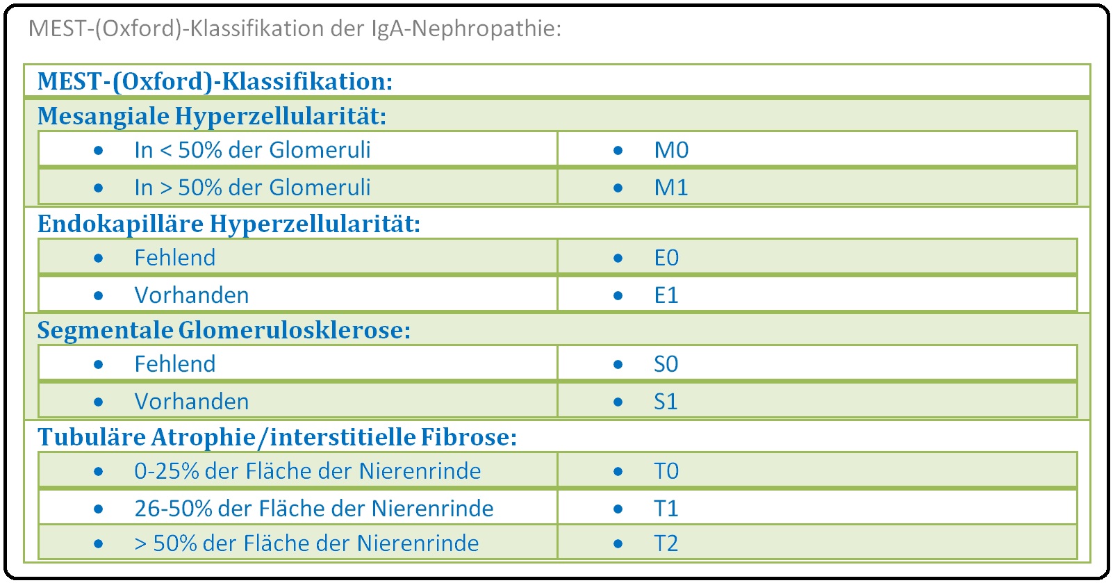 611 MEST Oxford Klassifikation der IgA Nephropathie
