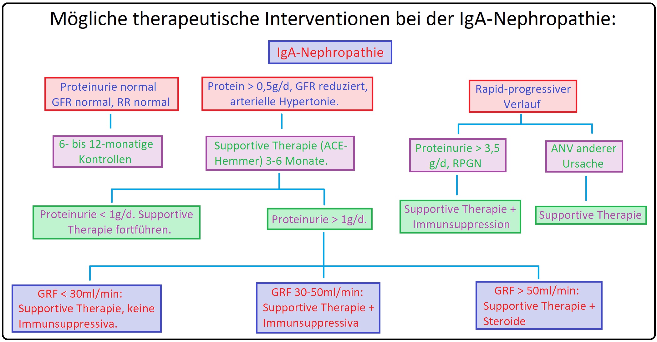 660 Mögliche therapeutische Interventionen bei der IgA Nephropathie