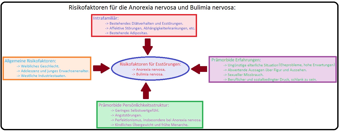 316 Risikofaktoren für die Anorexia nervosa und Bulimia nervosa